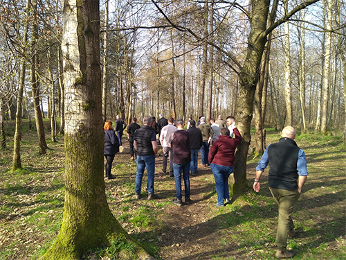 An image depicting Greenbelt staff in a woodland during a seminar