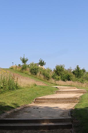 Sandy path with wooden steps leading up meadow hill