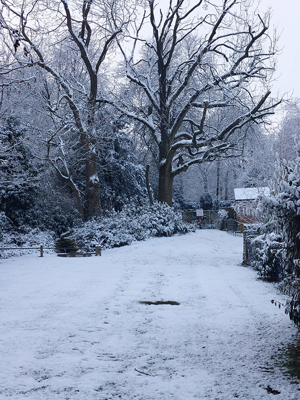 Frosty scene resized
