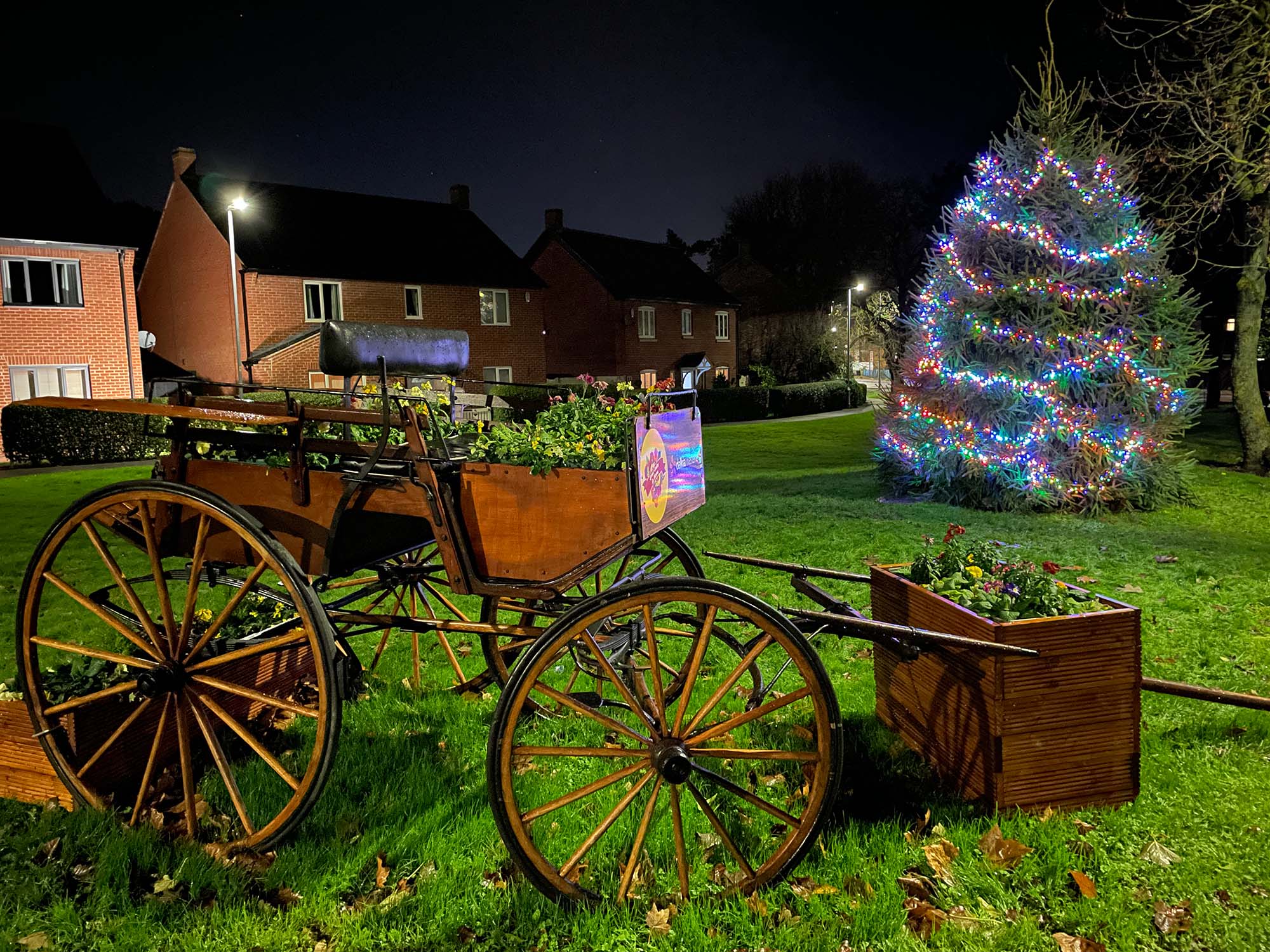 a refurbished pony cart, now used as a flower planter, with a Christmas tree in the background draped in lights