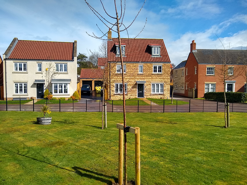 Scalby Jubilee Tree resized