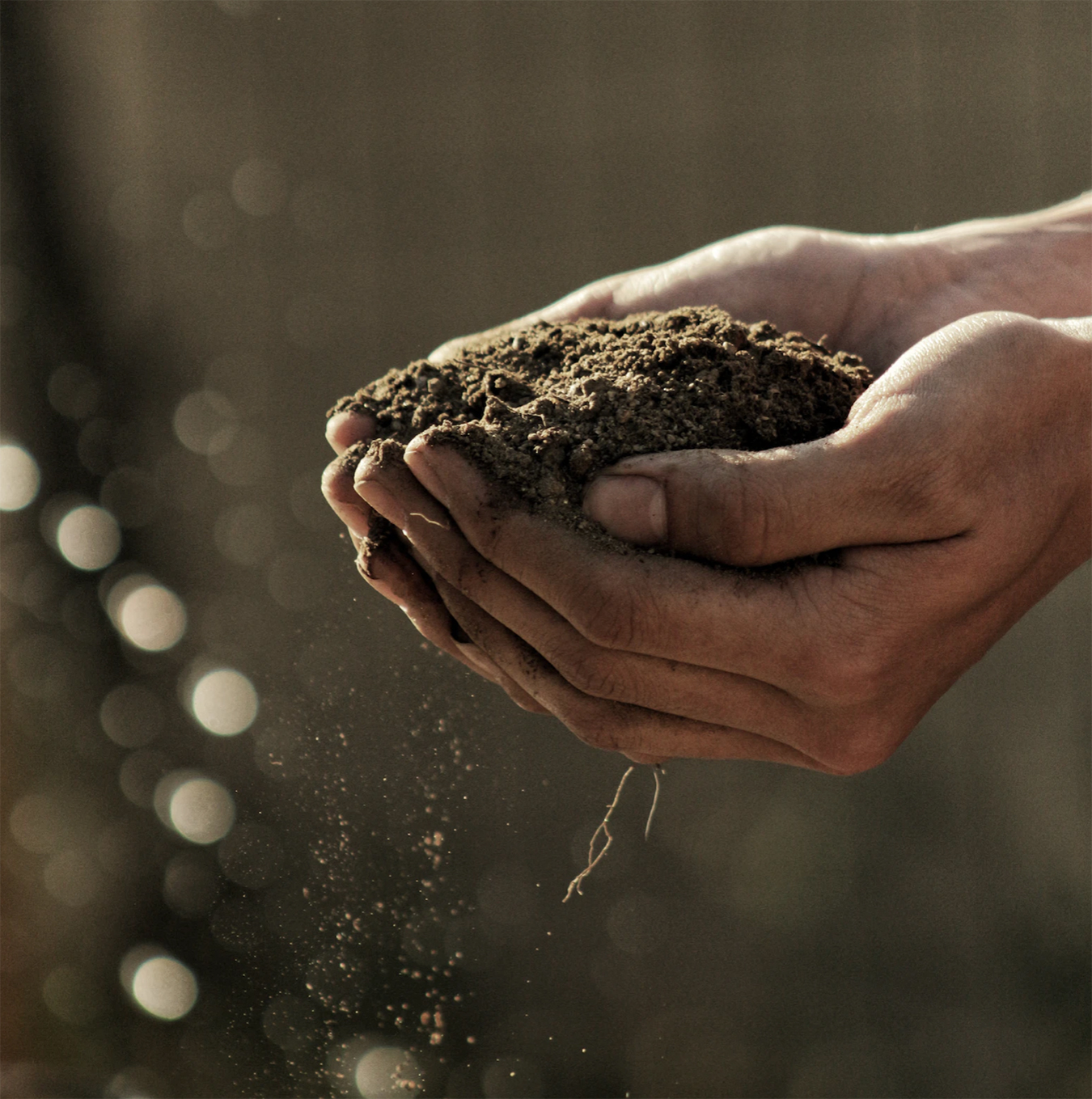 An image depicting a pair of cupped hands holding a pile of soil