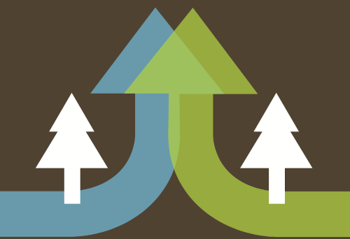 A digital graphic depicting two white stylised pine trees on a brown background, with a blue and a green arrow overlapping