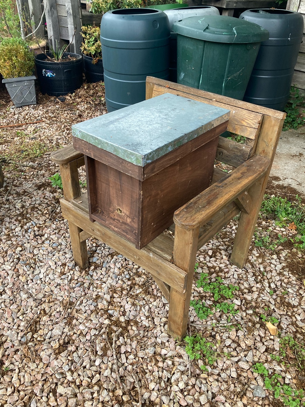 Bees new home