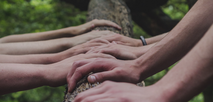 diverse group of peoples arms holding a tree branch together