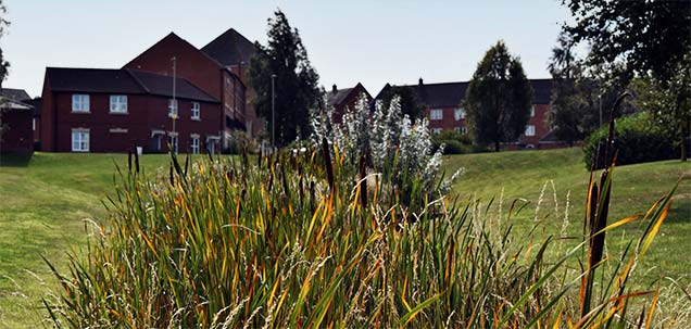 SUDS running through well maintained open space surrounded by residential properties