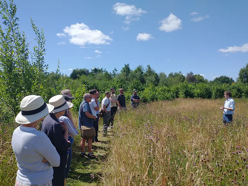 A group of children happily exploring a forest path together.